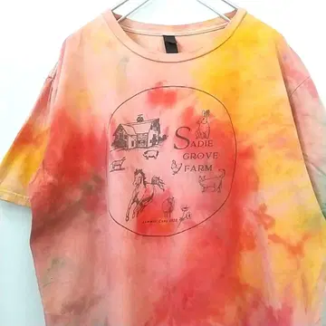 Sadie GROVE FARM 프린트 타이다이 티셔츠 L 해외 구제 의류