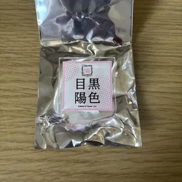 사쿠라자카46 엔니치 2 메구로 히나타 아크릴 클립