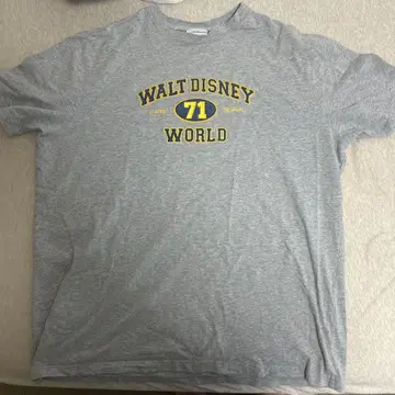 Walt Disney World 그레이 티셔츠 XXL