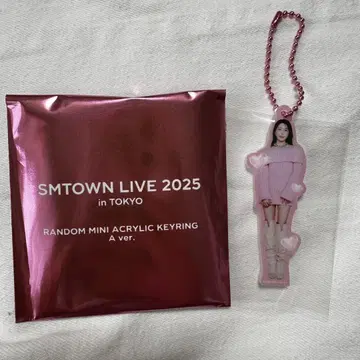 SMTOWN LIVE 2025 랜덤 미니 아크릴 키링 A BOA