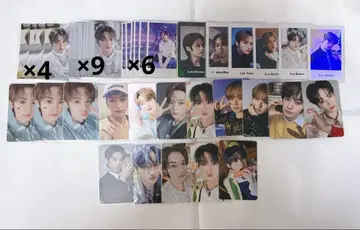 straykids 스키즈 leeknow 리노 트레이딩 카드 묶음 판매