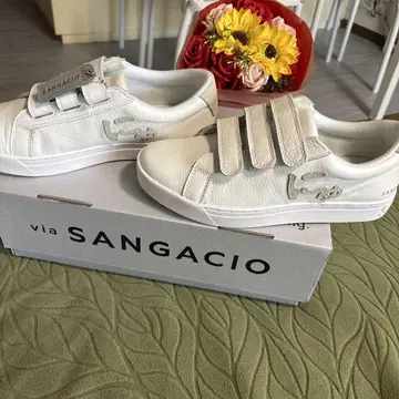 SANGACIO 산가치오 뉴즈 스니커즈 화이트 벨크로