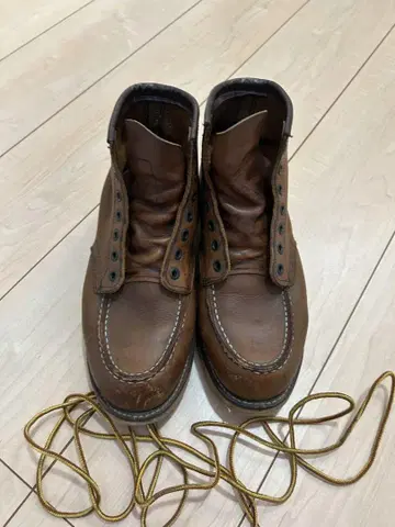 레드윙