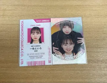 요시모토 콜레카 하루카제니츠구