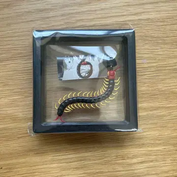 도쿄 구울 귀마개