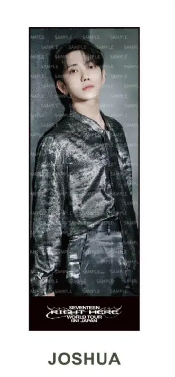 SEVENTEEN 조슈아 빅 포토 타월