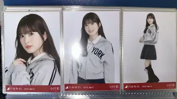노기자카46 오가와 아야 칼리지 컴프