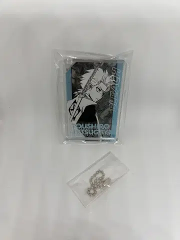 BLEACH 아크릴 키링
