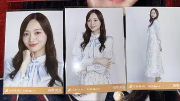 노기자카46 우메자와 미나미 빅 보우타이 블라우스 컴프