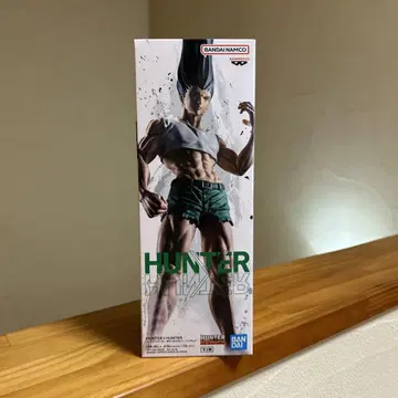 HUNTER x HUNTER 곤 피그라이프