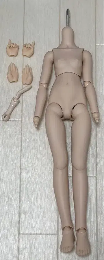 MDD 인형 바디