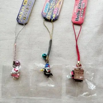 지역 키티 네자케 군죠 기후 시라카와고