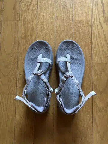 rig nonnative KAMBA2 리그 비네이티브