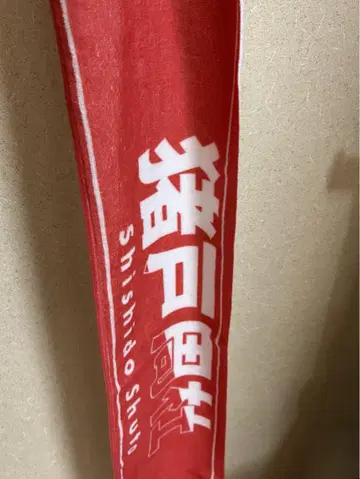 이노마타 슈토 timelesz