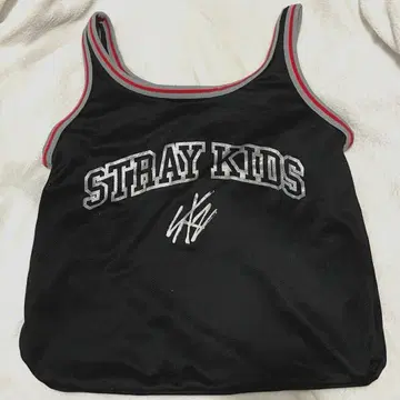 straykids 스키즈 에코파 업그레이드 혜택 유니폼 메쉬 백