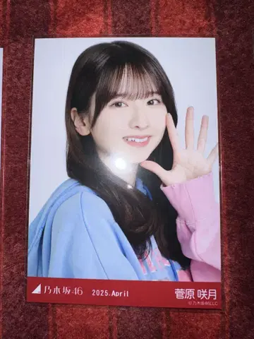 노기자카46 스가와라 사츠키 칼리지 요리
