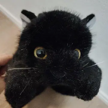 검은 고양이 봉제 인형 동심