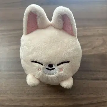 아이엔 FoxI.Ny 백 참 쯔무쯔무