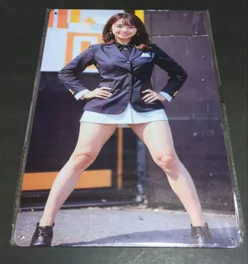 [새상품] 이노우에 세이카 메탈 보드 브리키 간판