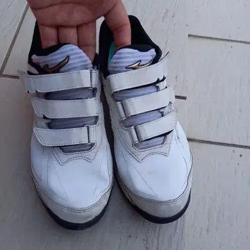Mizuno 미즈노 트레이닝 슈즈 업 슈즈 새상품급 26cm