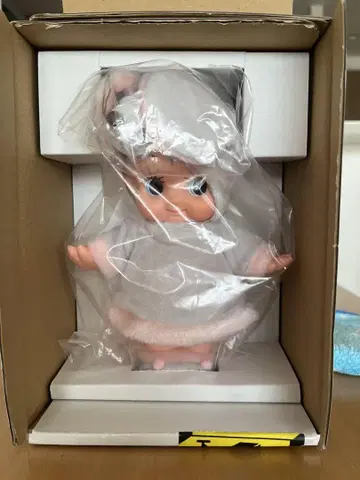 큐피 쥐의 해 큐피