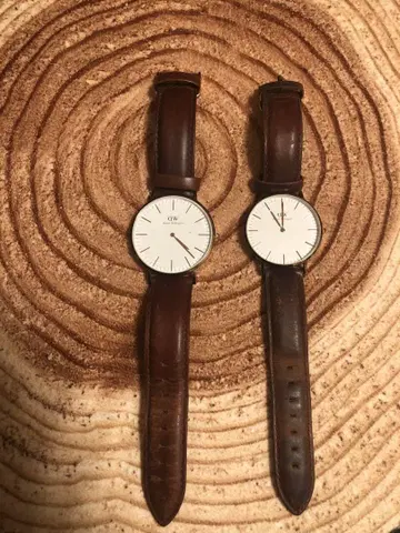 Daniel Wellington 페어 시계