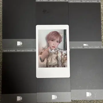 판다드래곤 타이거 하피카