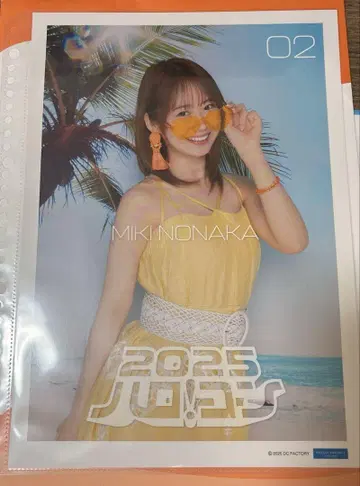 핑포스 노나카 미키