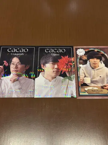 cacao 요시모토 콜레카 3매 세트