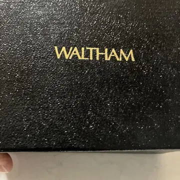 WALTHAM 실버 아날로그 워치