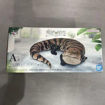 [제일복권] 파충류&양서류 A상 푸른혀도마뱀 피규어