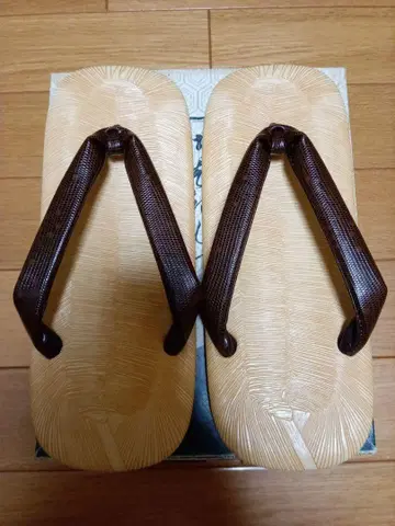 셋타 도마뱀 하나오 (L)