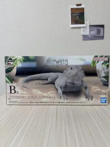 Tiny Friends 2 B상 턱수염도마뱀 피규어 하이포제로