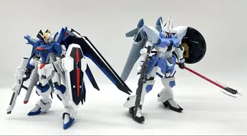 HG1/144 라이징 프리덤 건담 + 걍 슈트롬 완제품