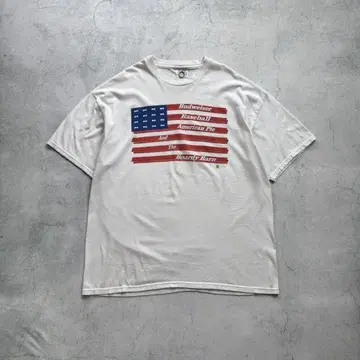 00s 프룻 오브 더 룸 버드와이저 국기 프린트 티셔츠 usa제