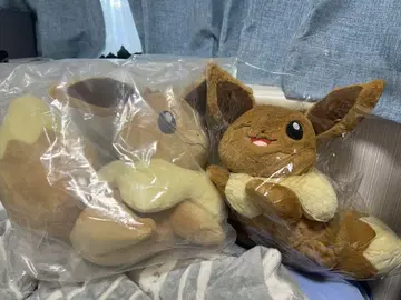 이브이 봉제 인형 2개 세트