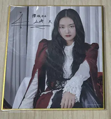 사쿠코레 C상 야마자키 텐