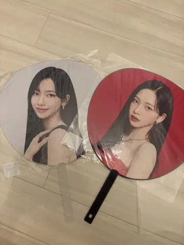 aespa 카리나 부채 공식