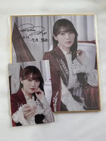 사쿠라자카46 사쿠코레 C상 사인 포함 미니 색지 모리야 레이나