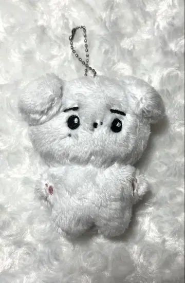 enhypen 성훈 봉제 인형 마스터
