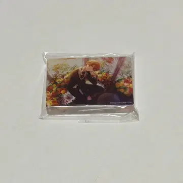 프로세카 시노노메 아키토 노블 아트 18