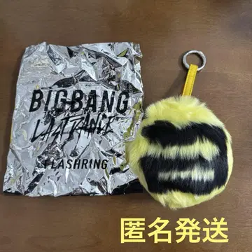 BIGBANG 굿즈 퍼 참 노랑 태종 dlite