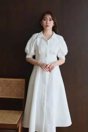 Vienna Volume Sleeve Shirt Dress