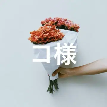 코 님