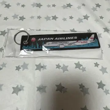 JAL 에어버스 350 플라이트 택