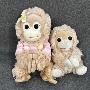 babycoco 봉제 인형 & 봉제 인형