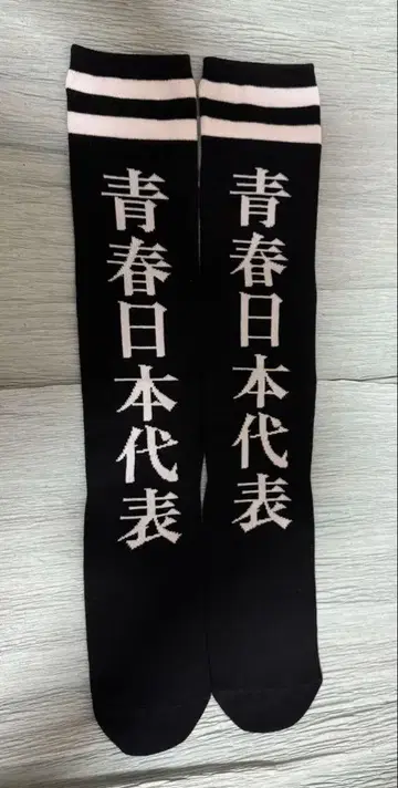 새로운 학교의 리더즈 청춘 일본 대표 양말 블랙 L 사이즈 블랙 삭스
