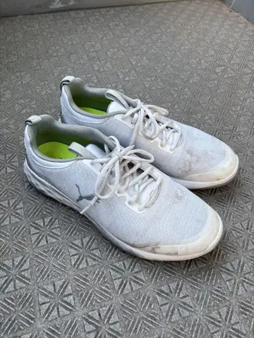 Puma 골프화 화이트
