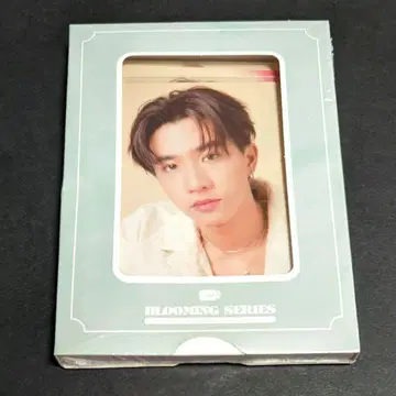 GMMTV BLOOMING SERIES (사진 세트) Perth