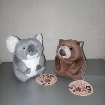 호주 동물  웜뱃 코알라 블루블루에 봉제 인형